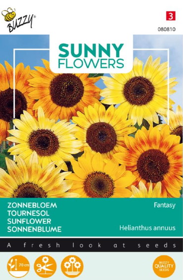Sonnenblume Fantasy (Helianthus) 50 Samen BU